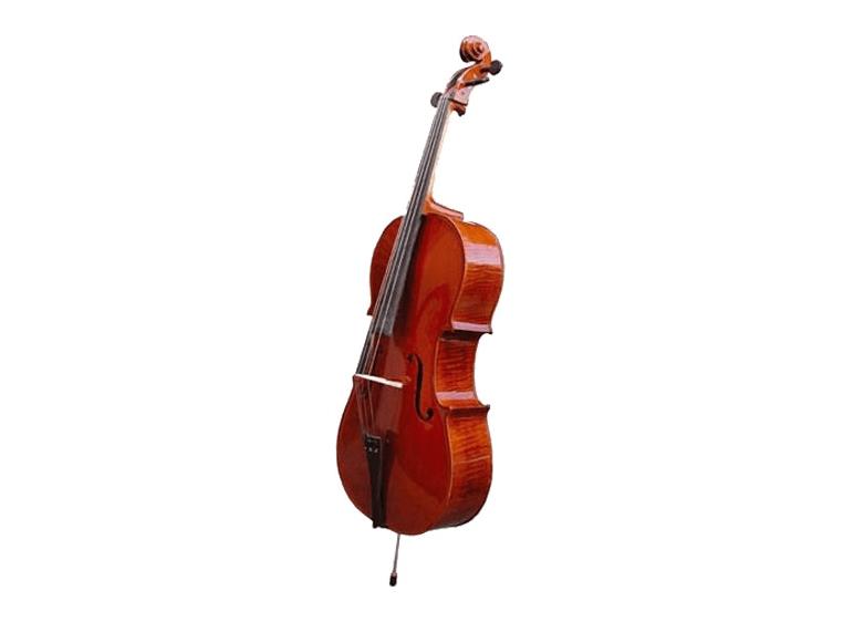 Herald AS344 Cello