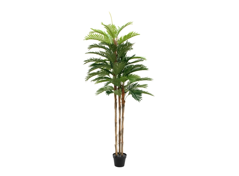 EUROPALMS Kentia palm tree, artificial plant, 180cm 
