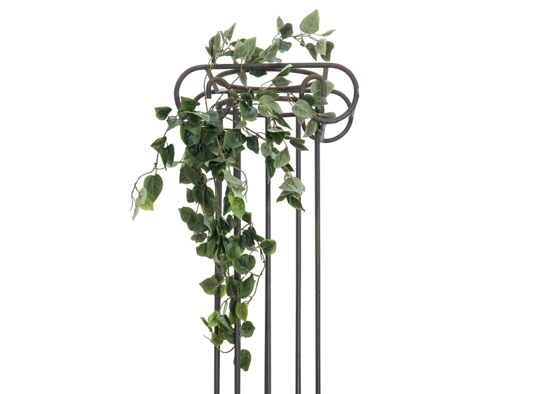 EUROPALMS Philodendron Bush Classic 60cm 