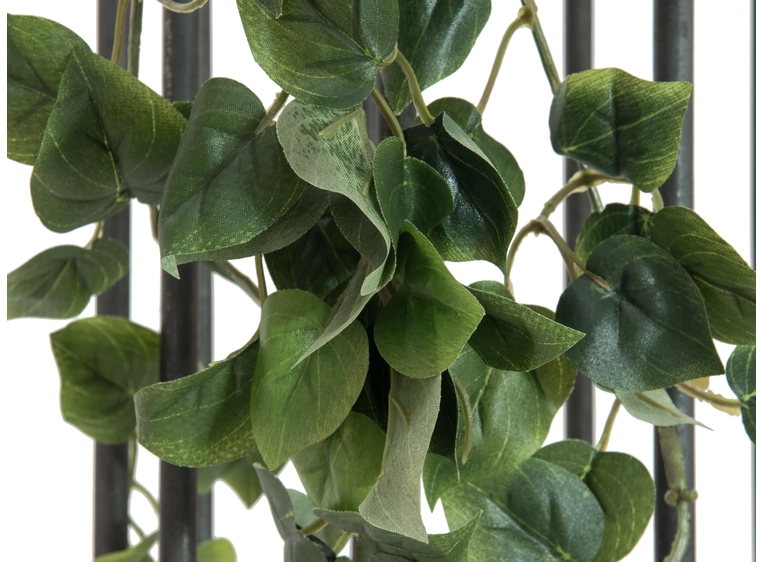 EUROPALMS Philodendron Bush Classic 60cm 