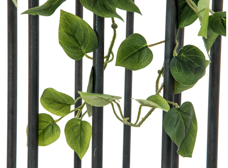 EUROPALMS Philodendron Bush Classic 60cm 