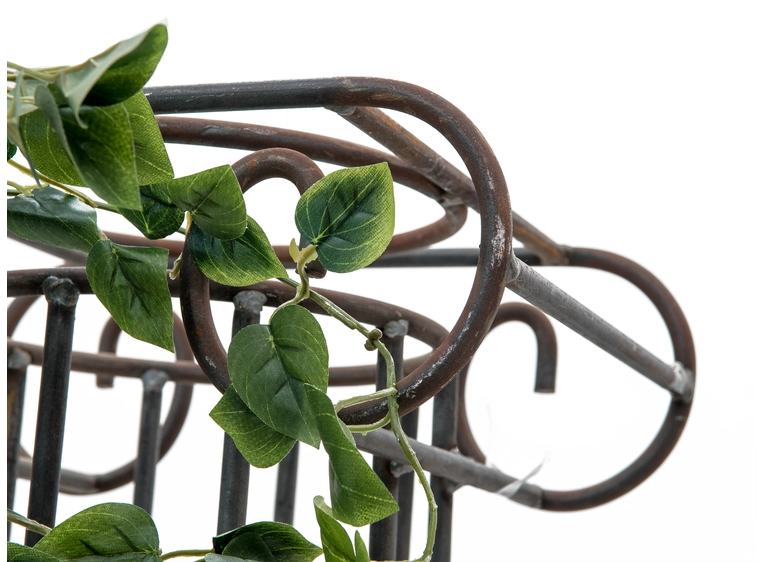 EUROPALMS Philodendron Bush Classic 60cm 