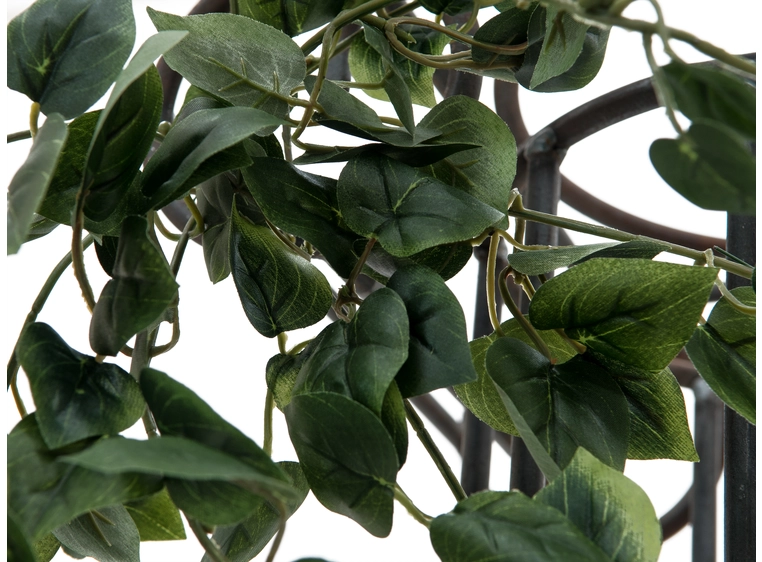 EUROPALMS Philodendron Bush Classic 60cm 