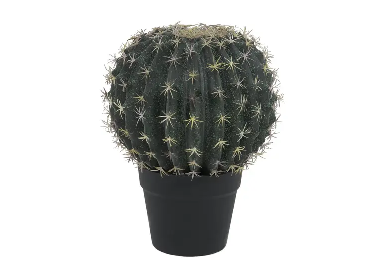 Europalms Barrel Cactus, 34cm 