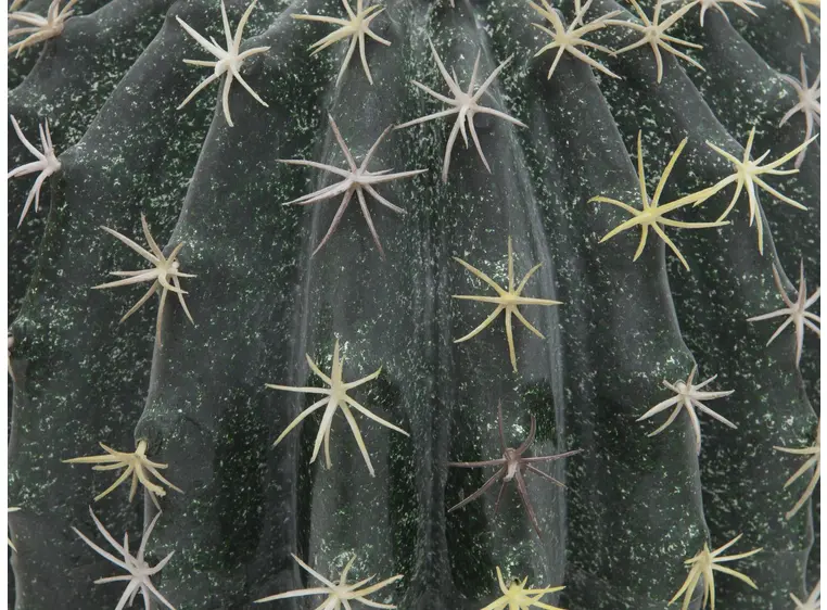 Europalms Barrel Cactus, 34cm 