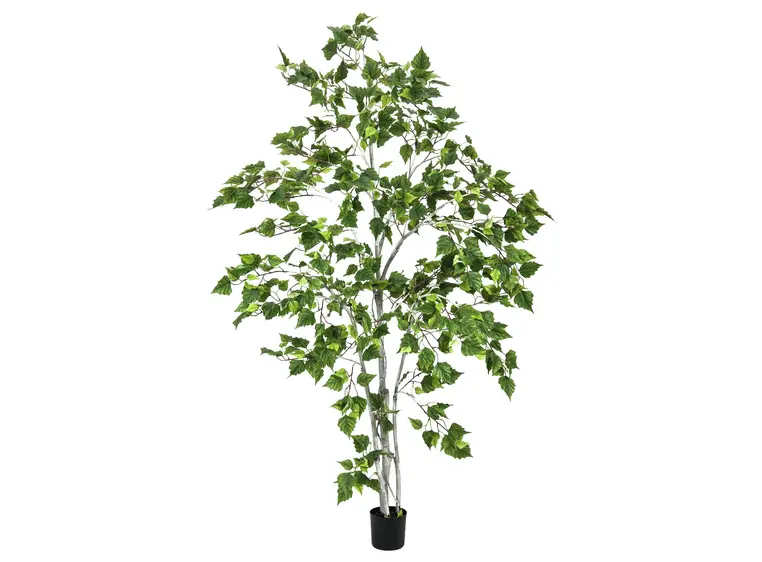 Europalms Birch Tree, 180cm 