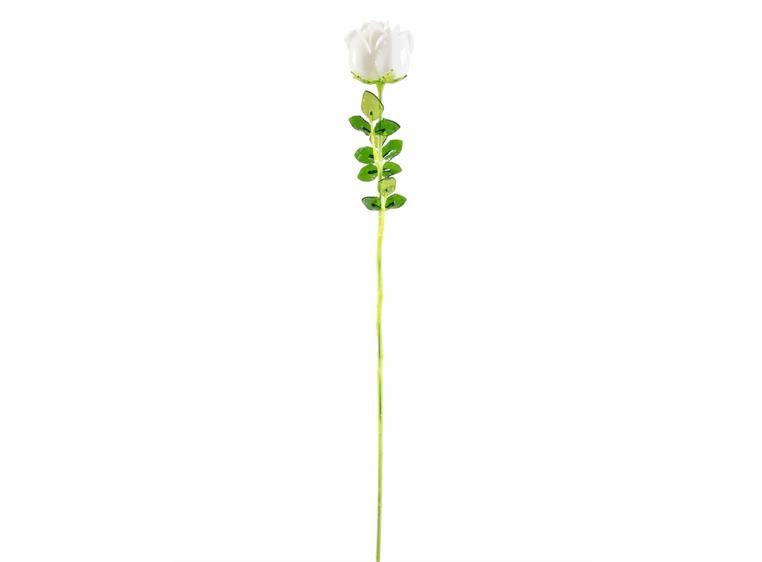 Europalms Crystal rose, white 81cm 12x