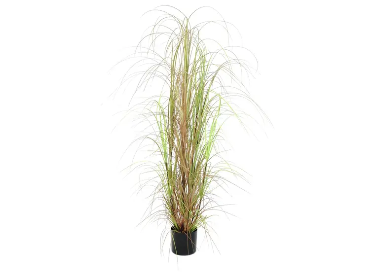 Europalms Grass bush, 150cm 