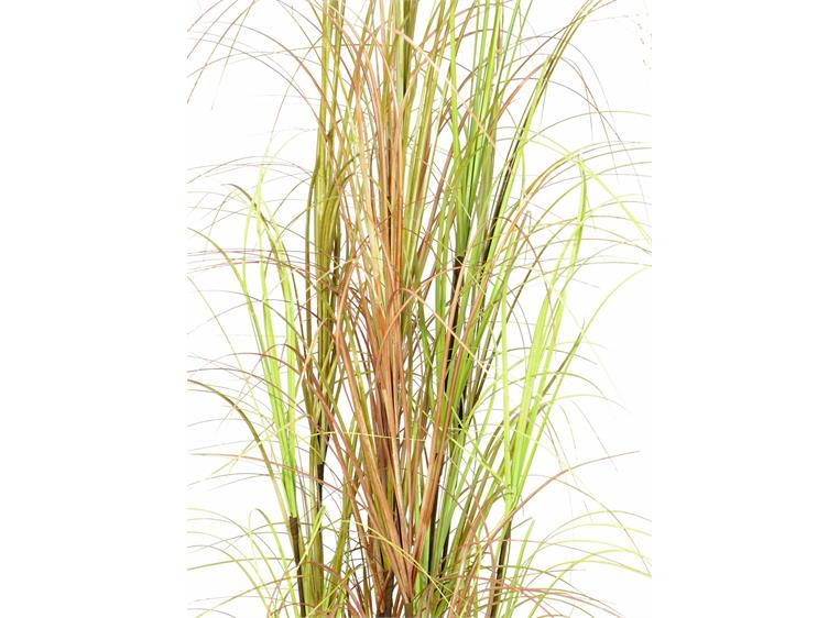 Europalms Grass bush, 150cm