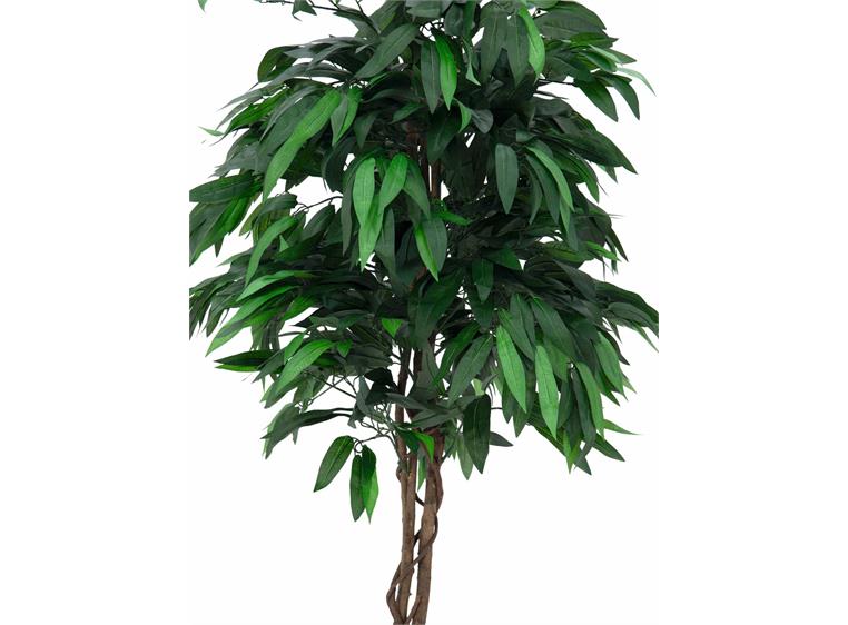 Europalms Jungle tree Mango, 180cm