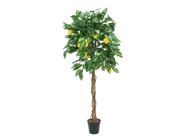 Europalms Lemon Tree, 180cm 