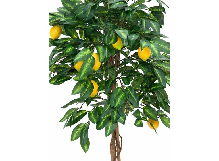 Europalms Lemon Tree, 180cm