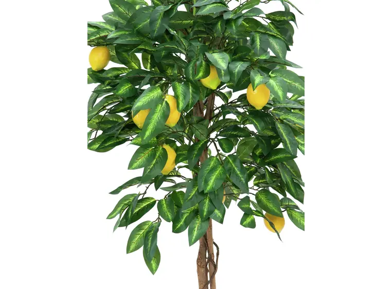 Europalms Lemon Tree, 180cm 