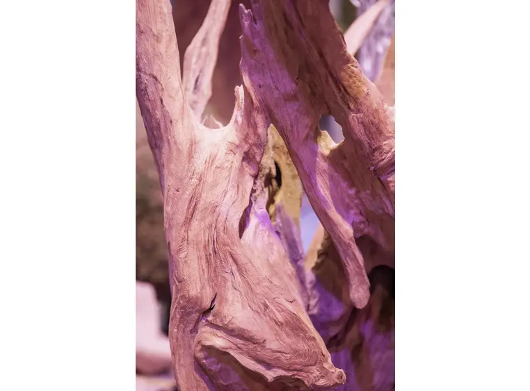 Europalms Natural wood sculpture 160cm 