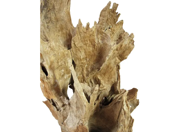 Europalms Natural wood sculpture 160cm 