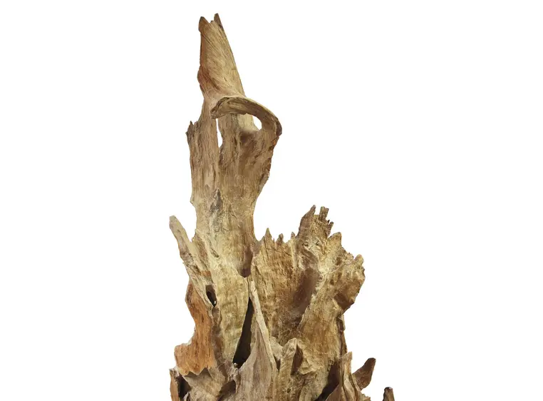 Europalms Natural wood sculpture 160cm 