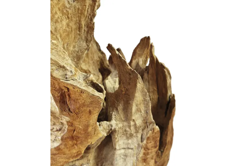 Europalms Natural wood sculpture 160cm 