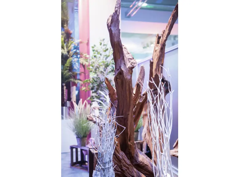 Europalms Natural wood sculpture 160cm 