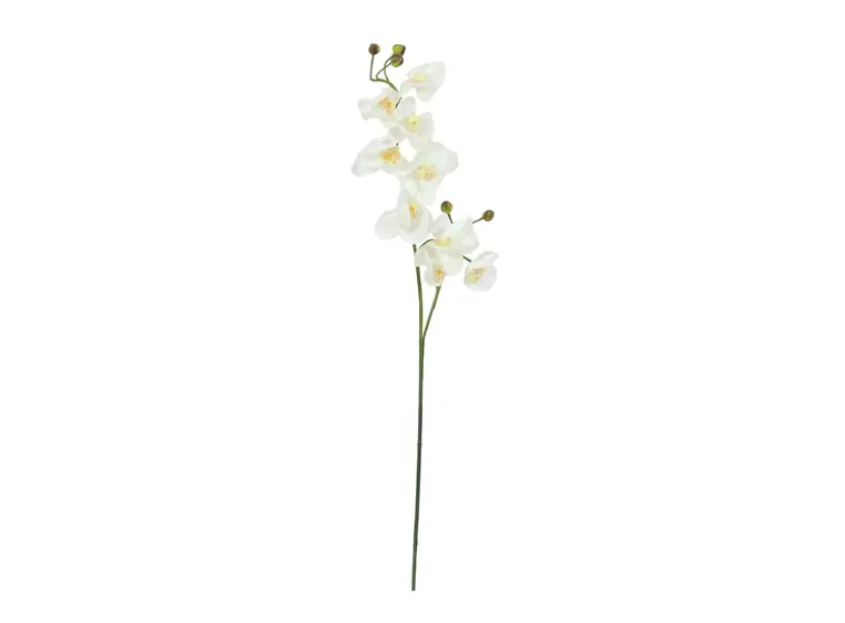 Europalms Orchid spray, cream-white 100cm 
