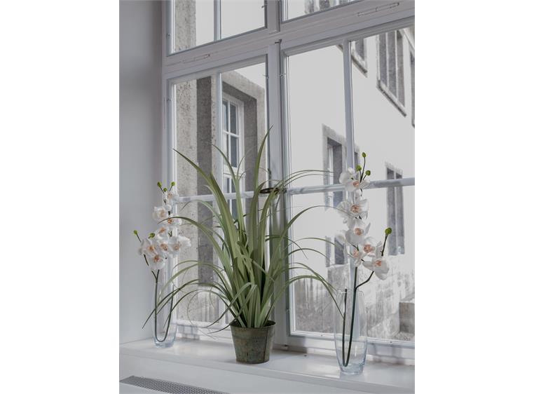 Europalms Orchid spray, cream-white 100cm