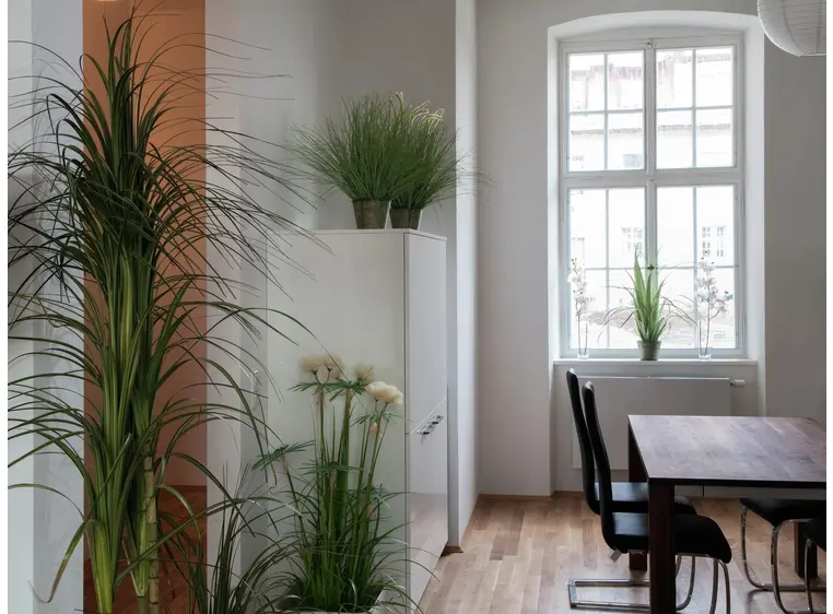 Europalms Orchid spray, cream-white 100cm 
