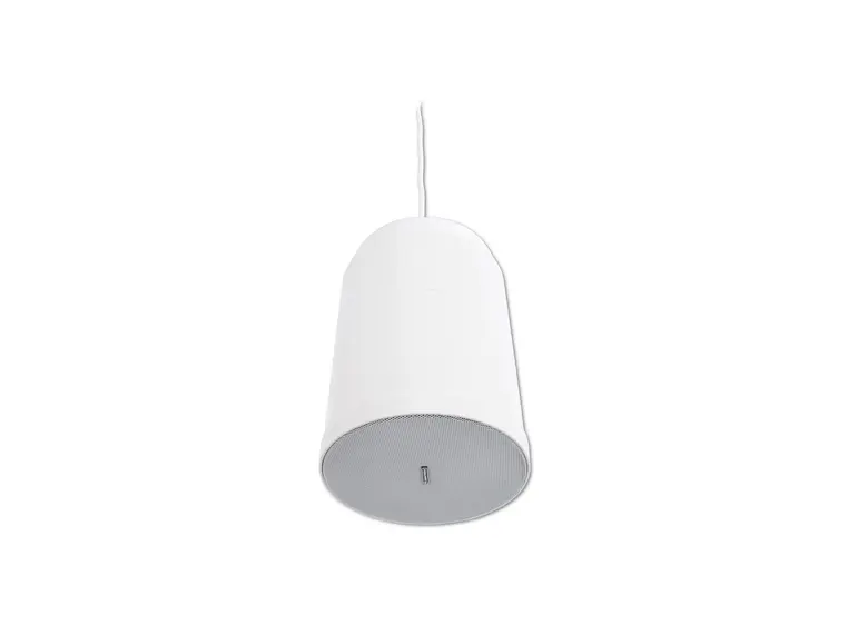 OMNITRONIC WP-15W Ceiling Speaker 