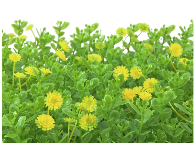 EUROPALMS Grass mat, artificial, green-yellow, 25x25cm 