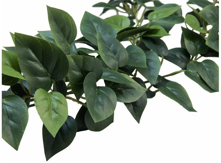 EUROPALMS Philodendron Garland Classic 180cm