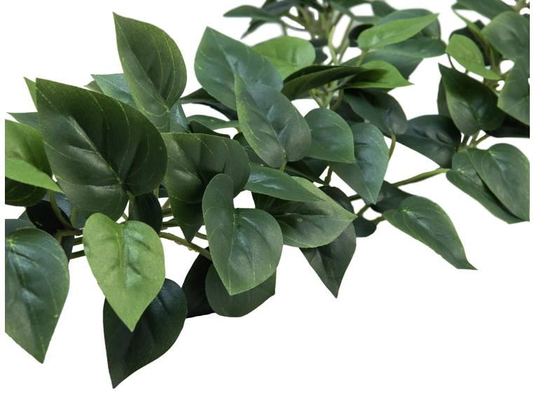 EUROPALMS Philodendron Garland Classic 180cm 