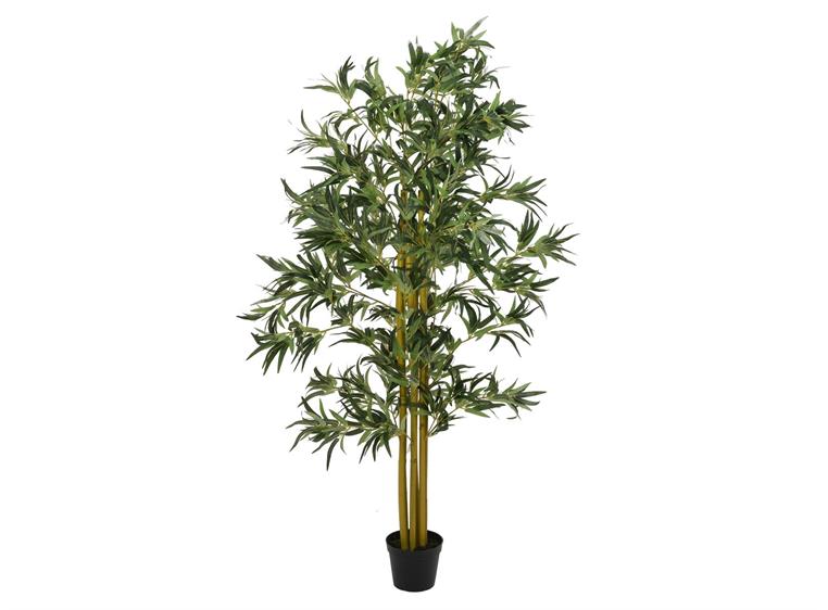 Europalms Bamboo Multi Trunk, 180cm