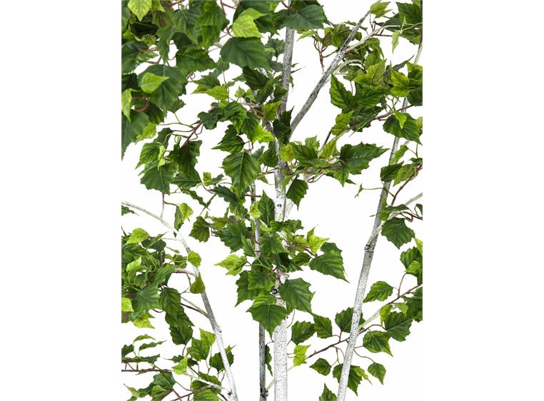 Europalms Birch Tree, 210cm