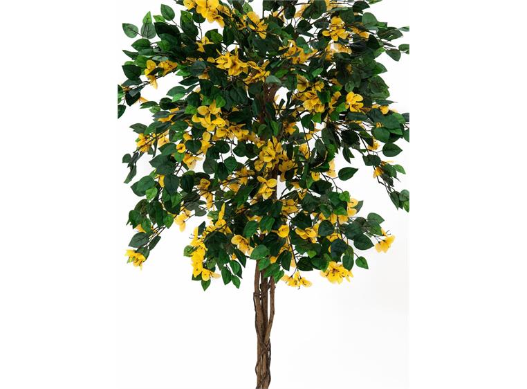 Europalms Bougainvillea, yellow, 180cm