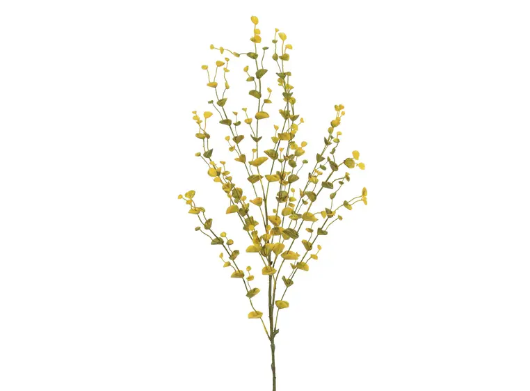 Europalms Eucalyptus spray, yellow-green 110cm 