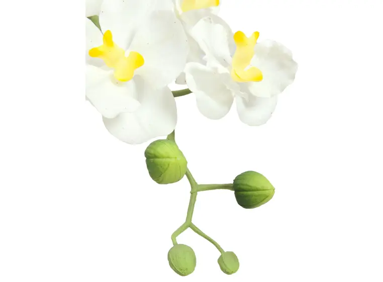 Europalms Orchid arrangement 1 