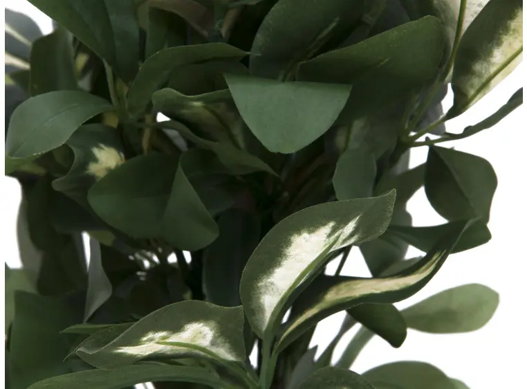 Europalms Schefflera, 120cm 