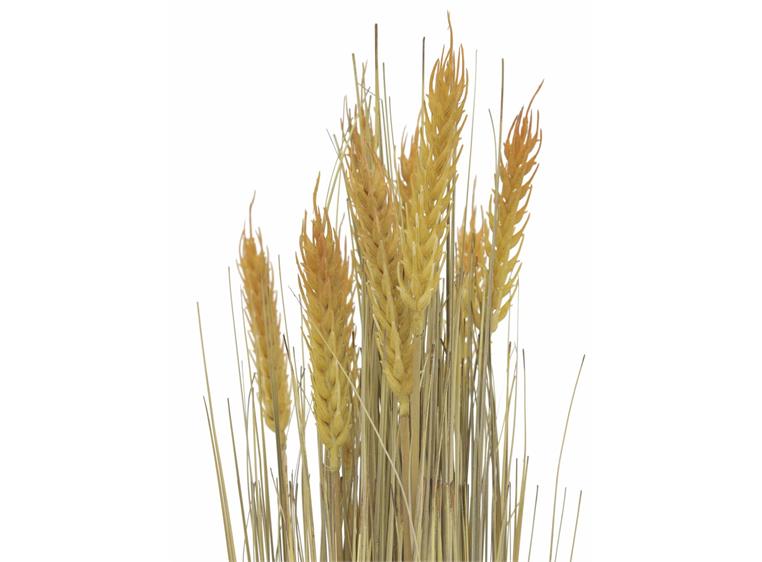 Europalms Wheat bunch, 60cm