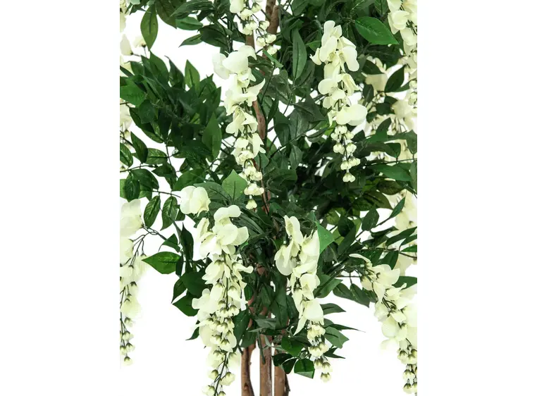 Europalms Wisteria, white, 180cm 