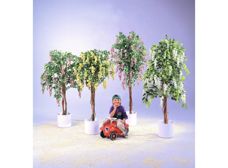 Europalms Wisteria, white, 180cm 