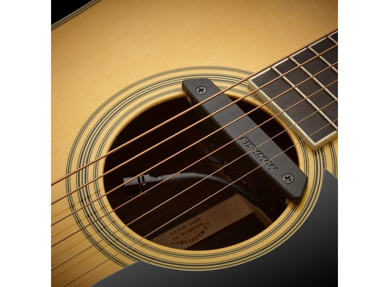 Fishman Rare Earth Blend (PRO-REP-103) 