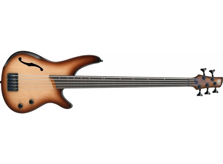 IBANEZ SRH505F-NNF SR Hollow body Aerium, Fretless 5-string 