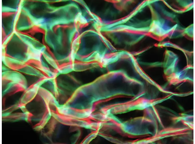 EUROLITE LED WF-40 Water Effect 