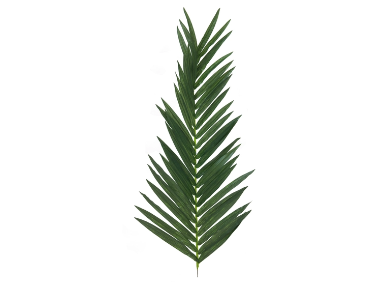 EUROPALMS Coconut king palm branch 150cm 