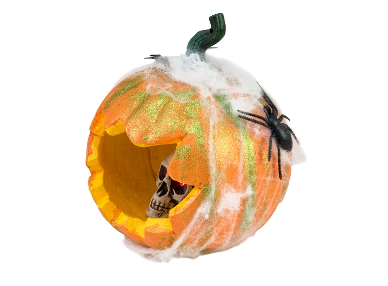 EUROPALMS Halloween Pumpkin in Spider Web, 25cm 