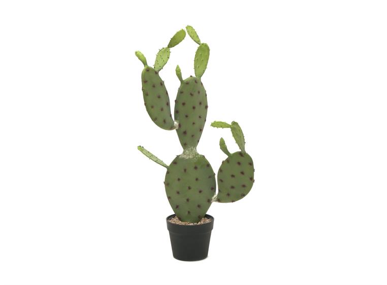 EUROPALMS Nopal cactus, artificial plant 75cm