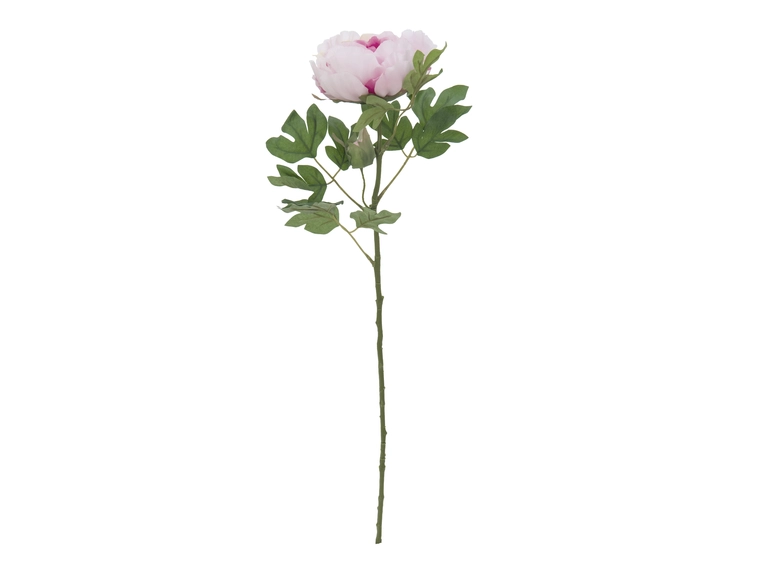 EUROPALMS Peony Branch Classic, pink 80cm 