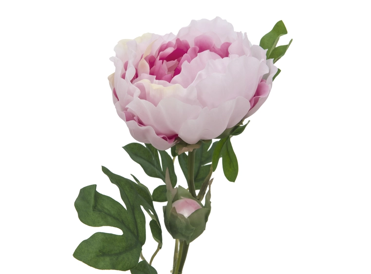EUROPALMS Peony Branch Classic, pink 80cm 