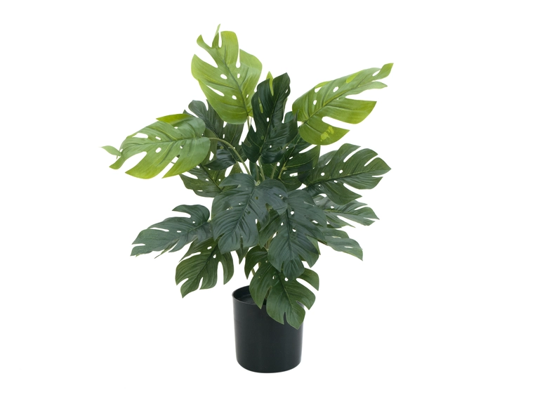 EUROPALMS Split philo plant, artificial, 38cm 