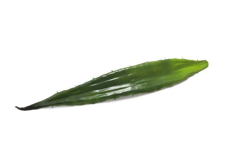 Europalms Aloe leaf (EVA), green, 60cm 