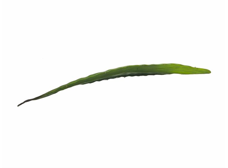 Europalms Aloe leaf (EVA), green, 60cm