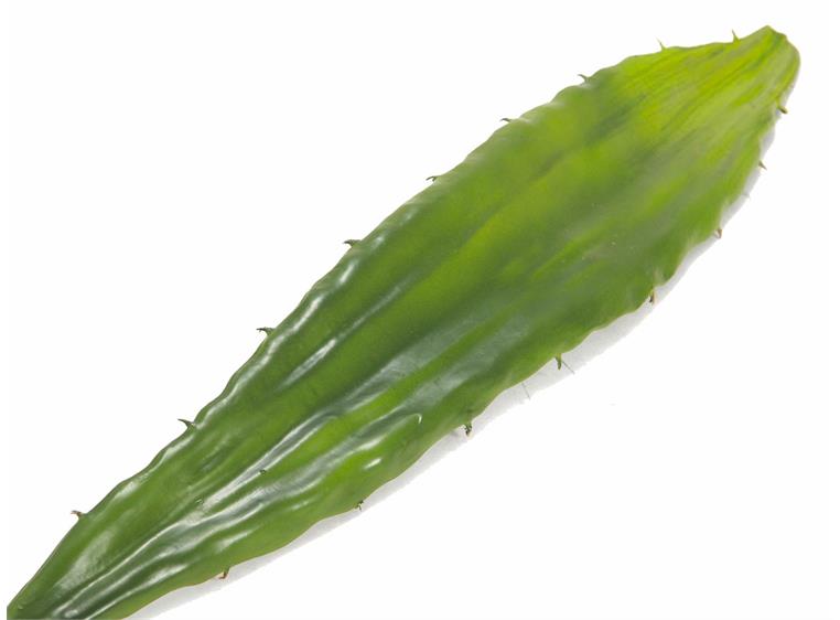 Europalms Aloe leaf (EVA), green, 60cm